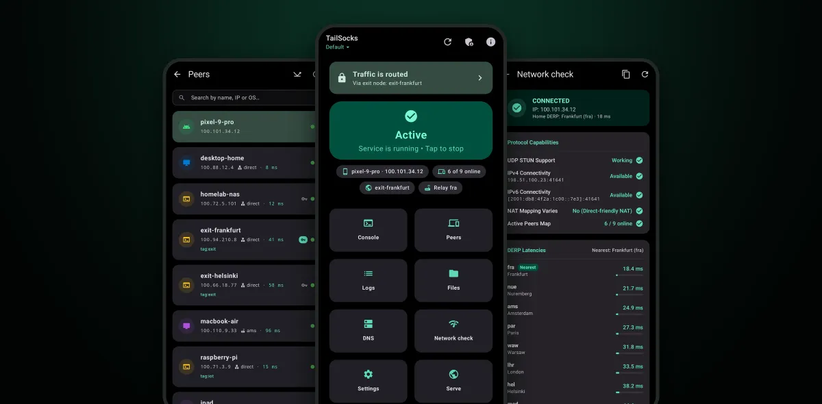 TailSocks: the peers, the main screen and the network check